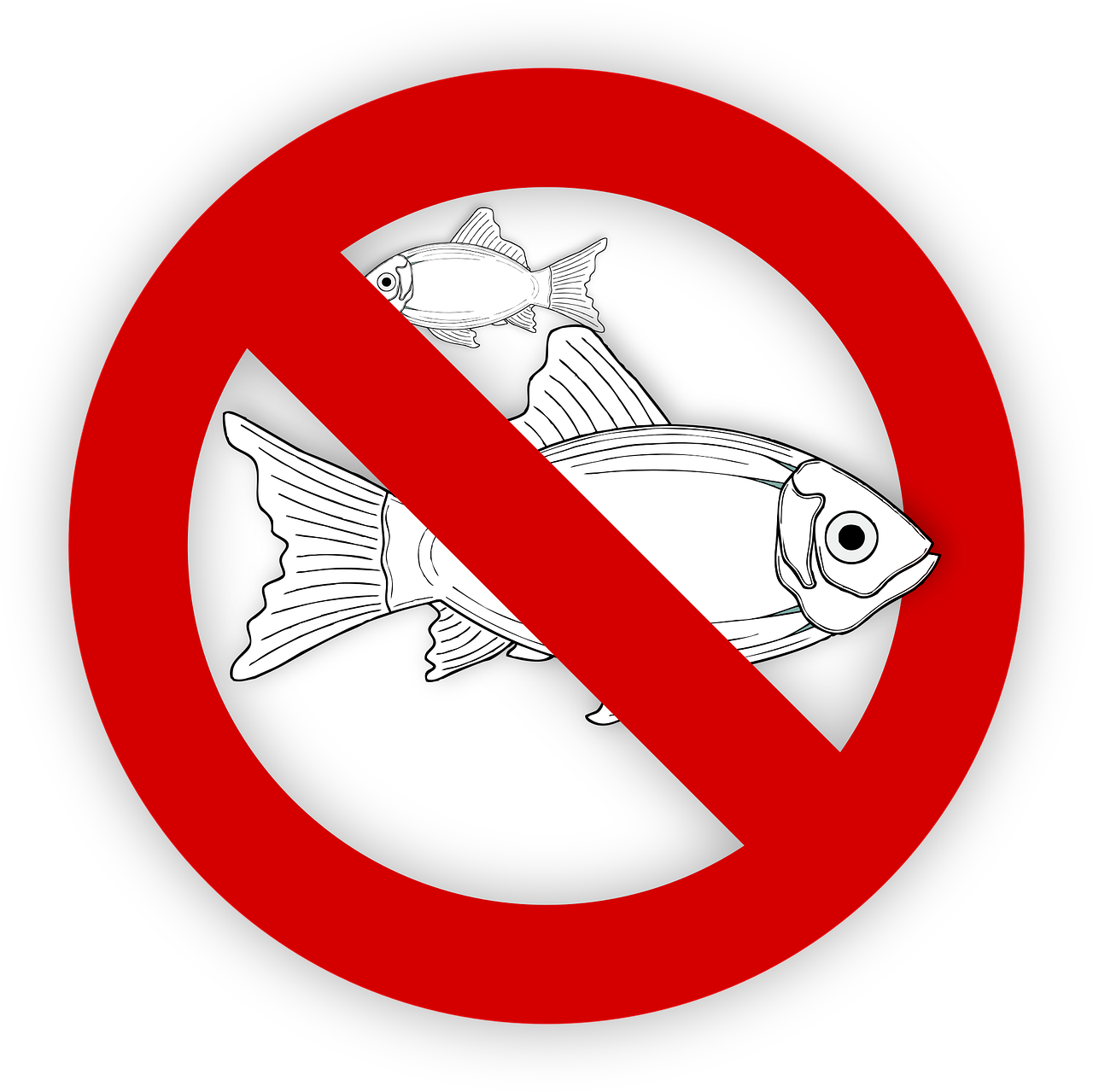 pixabay-995050-80.png